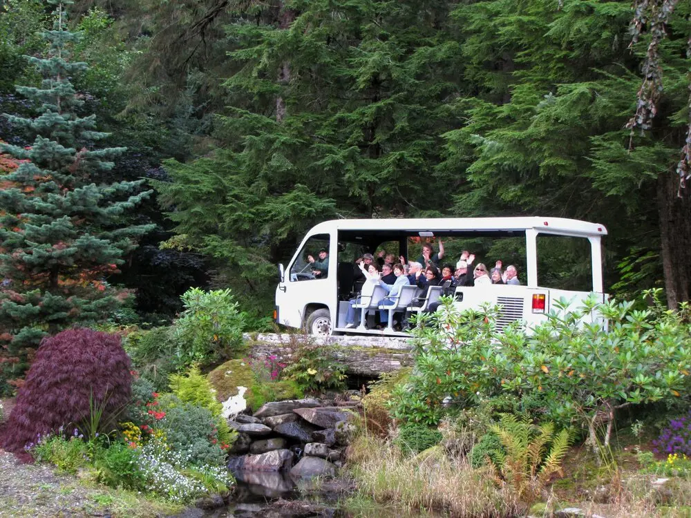 Glacier Gardens Rainforest Adventure is arranged on covered vehicles accompanied by guided tour