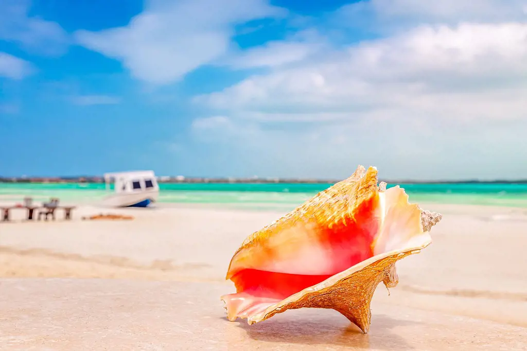 Grand Turk is famous for Conch shells and local hand made arts and jewelery out of it.