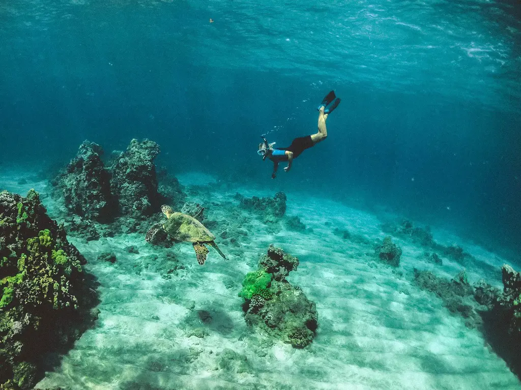 At Governor's Beach, you can swim at least 100 yards to see coral reefs and marine life.