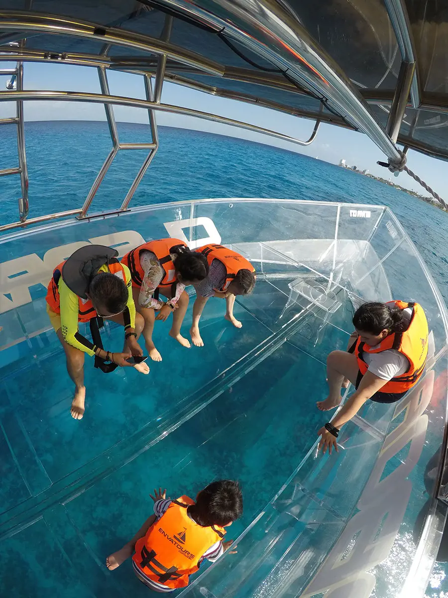 People watching water and marine life underneath the boat through glass bottom deck