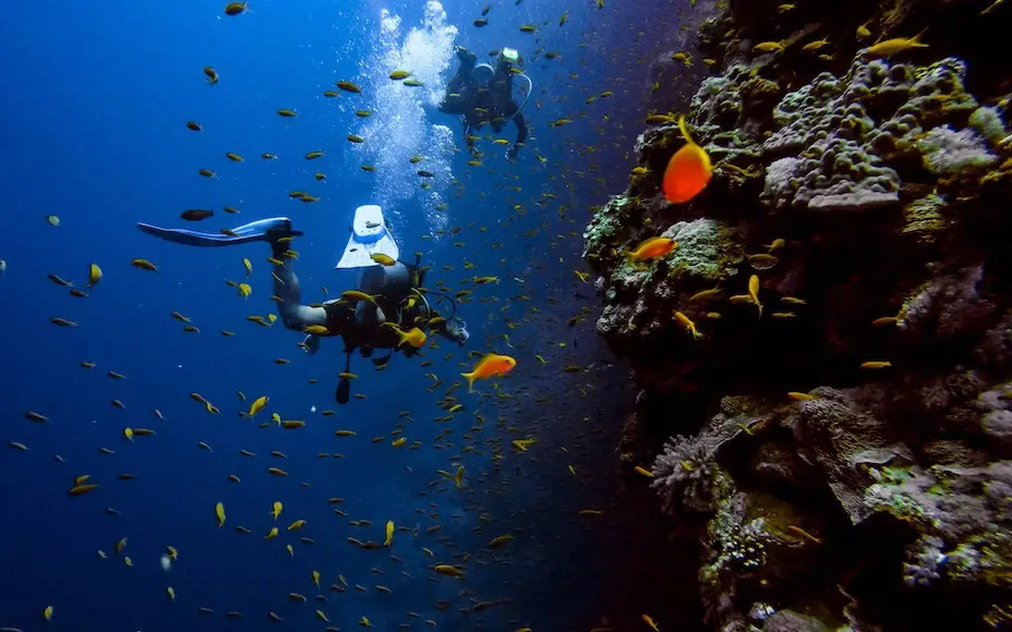 Scuba diving locations in are Palancar Horseshoe, Santa Rosa Wall and more